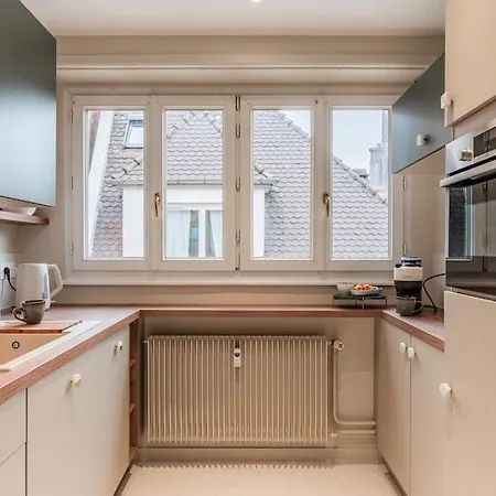 Le Petit Batelier - - Vue Cathédrale * Strasburgo