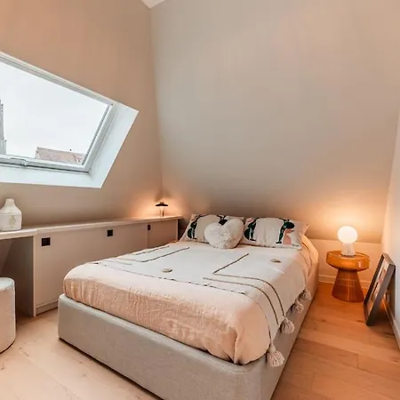 Appartement Le Petit Batelier - - Vue Cathedrale Strasbourg