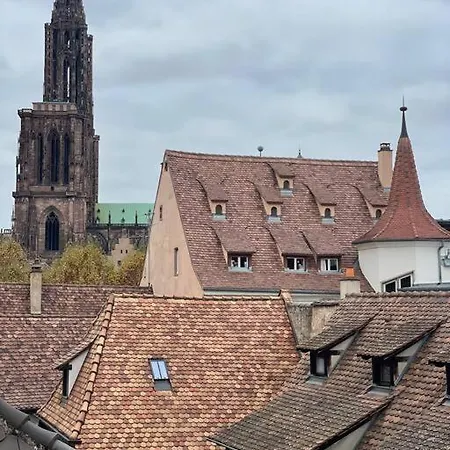 Le Petit Batelier - - Vue Cathedrale * Strasbourg
