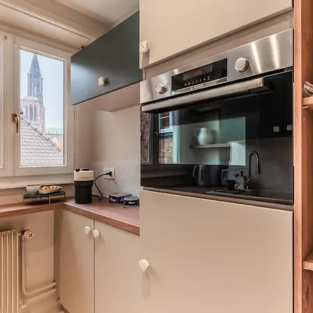 Le Petit Batelier - - Vue Cathedrale Apartament Strasburg